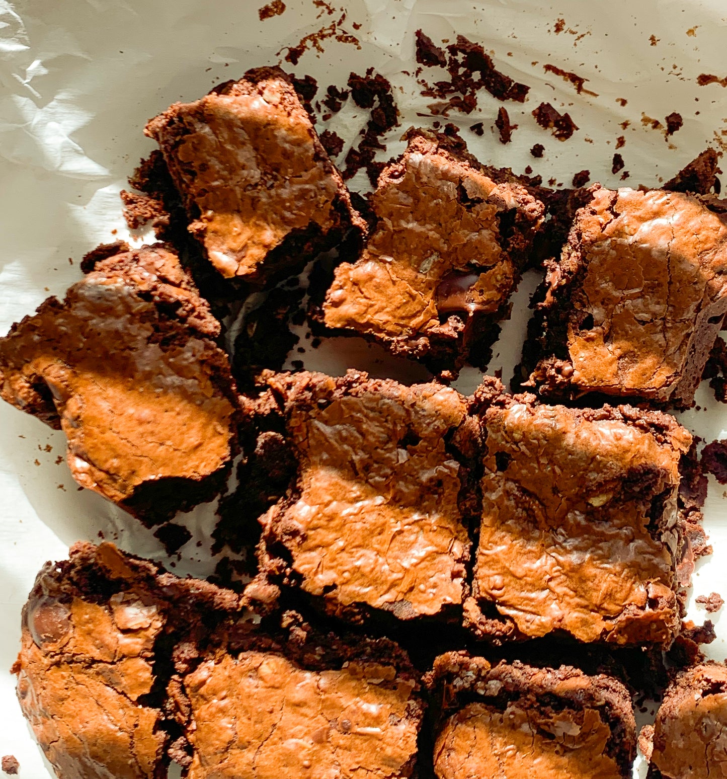 Fudgy Lactation Brownies (12 servings)