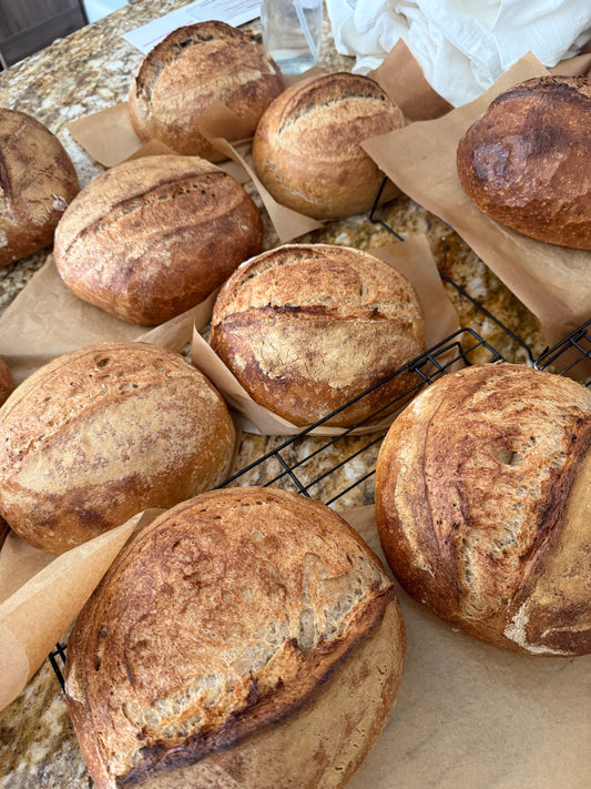 Organic Artisan Sourdough